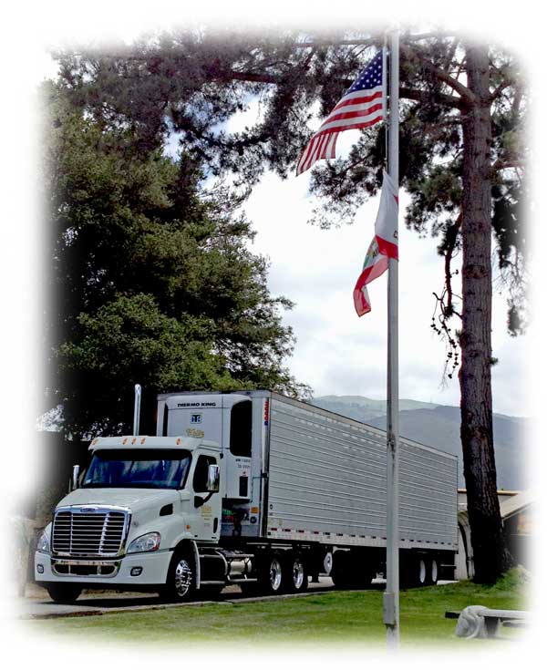 Heitz Refrigerated Shipping